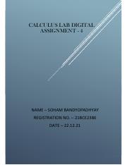 Calc lab DA4.pdf