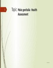 Male Genitalia Health Assessment.pptx