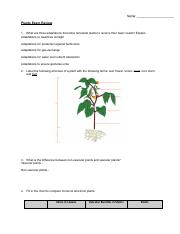 Copy of Plants Exam Review.pdf