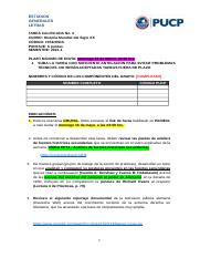 FORMATO TAREA CALIFICADA N° 3 2021-1 vf.docx