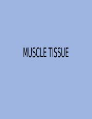 Muscle tissue part one(2).pptx