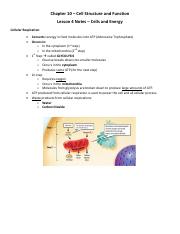 Chapter 10 Lesson 4 NOTES.pdf