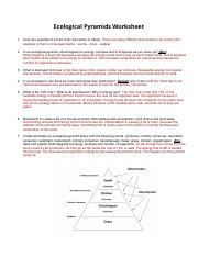 Ecological-pyramids-worksheet.pdf
