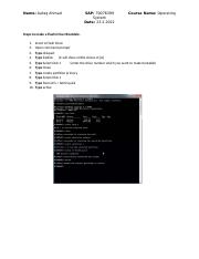 Aafaq Ahmad OS Lab Task 1.docx