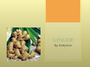 Ginger Research Project Presentation