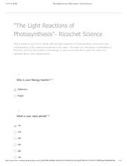 _The Light Reactions of Photosynthesis_- Ricochet Science.pdf