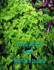 17-Plants_Without_Seeds.ppt