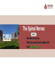 8                LEC8 Spinal nerves.pdf