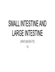 ANATLAB-A-S04-T02-SMALL-INTESTINE-AND-LARGE-INTESTINE.pdf