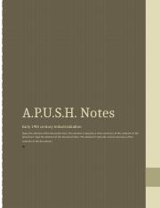 APush Notes.docx