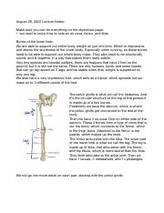 1. Bones of the lower limb..pdf