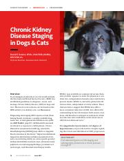cte_chronic-kidney-disease-staging-in-dogs--cats-38786-article.pdf