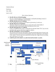 CH.38 SHORT AWNSER QUESTIONS.docx