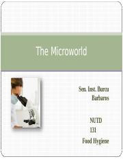 Lecture 2- The Microworld.pptx