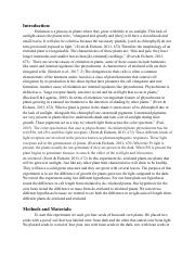 Etiolation Lab Report.pdf