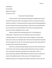 argumentative essay.pdf