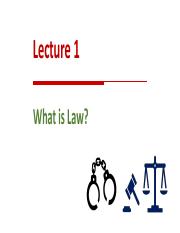 Law And Society _lec_1.pdf