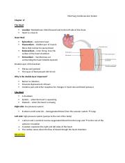 Med Surg Cardiovascular System - 17.docx