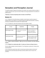 3.06 Sensation and Perception Journal (1).pdf