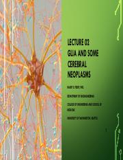 Lecture 02 Glia and Some Cerebral Neoplasms.pdf