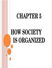HOW SOCIETY IS ORGANIZED.pptx