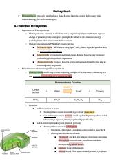 Photosynthesis_ TB Notes.pdf