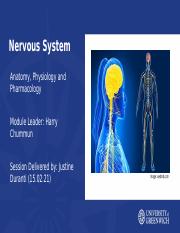 Peripheral Nervous System.pptx