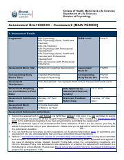 PY2801 Assessment Brief Coursework.pdf