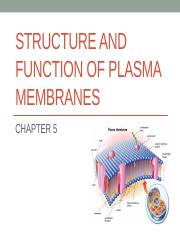Chapter 5 Structure and Function of Plasma Membranes.pptx
