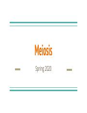 Meiosis_Notes.pdf