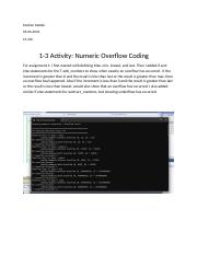 Activity: Numeric Overflow Coding for CS 405 Assignment 1 | Course Hero