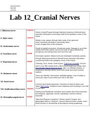 12 Cranial Nerve assignment.docx