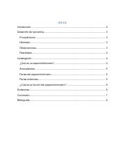 Reporte practica de laboratorio.pdf