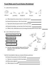 Food Webs and Food Chains Worksheet.pdf
