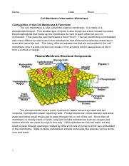 cell_membrane_information_worksheet.pdf