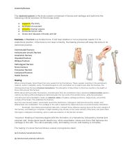 Anatomy RVW.docx.pdf