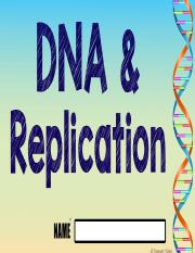 _of _DNA & Replication Digital Activity.pdf