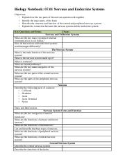 V20 Module 7 Guided Notes Packet.rtf