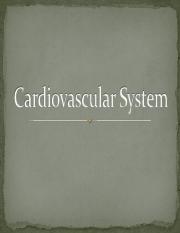Cardiovascular System Structures 14 (1).pdf