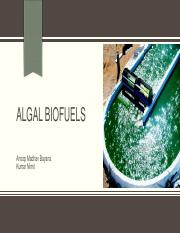 Algal biofuels.pdf
