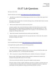 01.07 lab questions resubmittion.docx