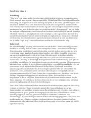 internationella relationer uppdrag 2 fråga 3.pdf