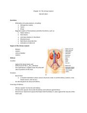 Anatomy Review 5- Chapter 15