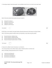 Chapter 10 assessment no MS.pdf