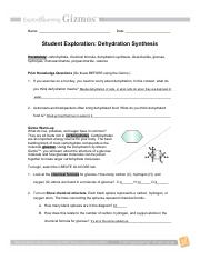 Shelby Pippins - Dehydration Synthesis copy.pdf