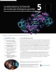 Macromoleculas.en.es.pdf