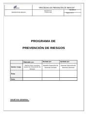 436012196-programa-de-prevencion.docx