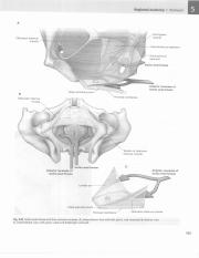 格氏解剖学  教学版  第2版  英文版  影印版_505.pdf