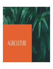 GROUP-29-AGRICULTURE-STS.pdf