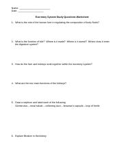 Excretory System Study Questions Worksheet.doc